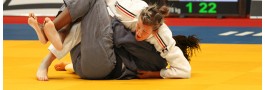 Tatami - Martial Arts Mats Tatami - Martial Arts Mats